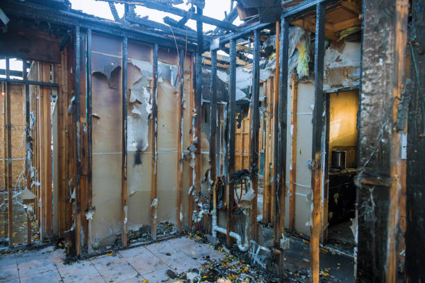 Professional Fire Damage Removal technician working in Gibbstown, NJ